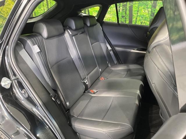 24686057_carP_l_19.jpg