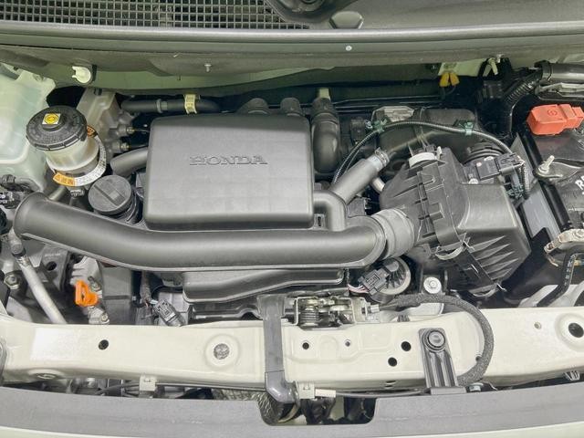 25200061_carP_l_16.jpg