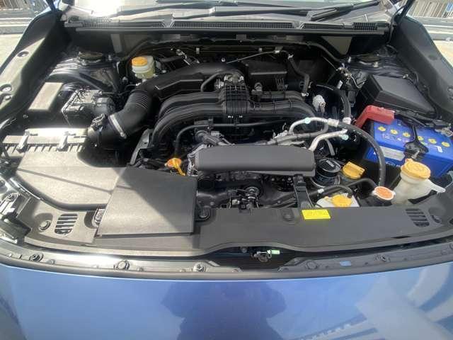 23474674_carP_l_20.jpg