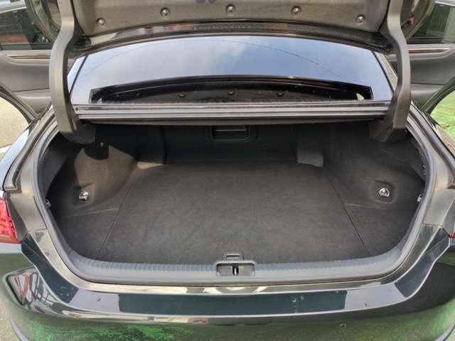 24896744_carP_l_9.jpg