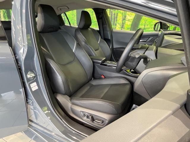 24562408_carP_l_19.jpg