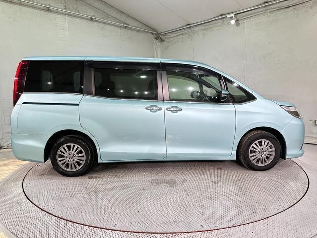 25215907_carP_l_8.jpg