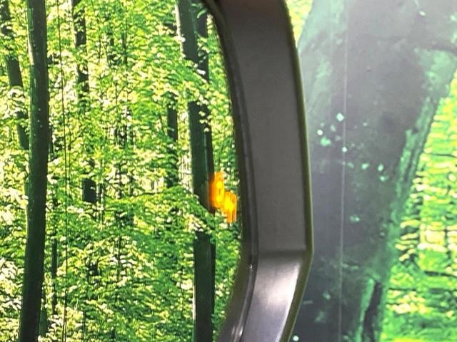 25466892_carP_l_13.jpg