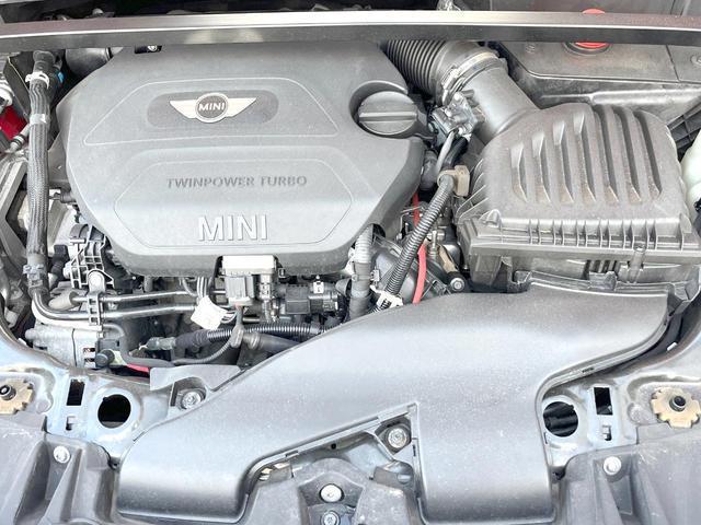 23339722_carP_l_18.jpg