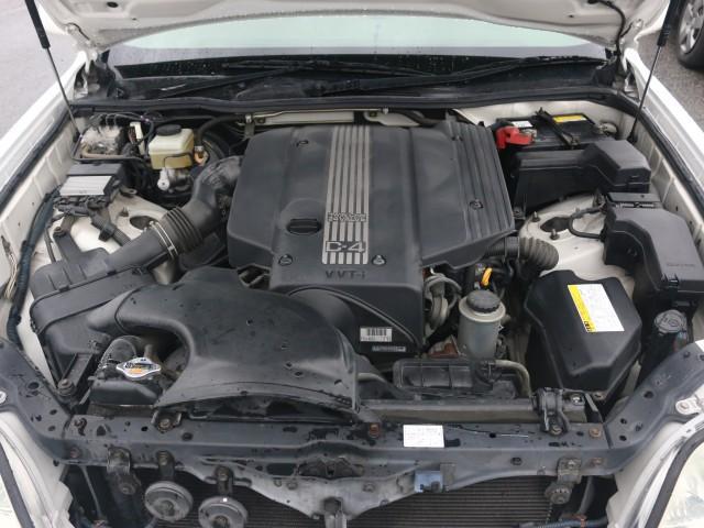 24406904_carP_l_17.jpg