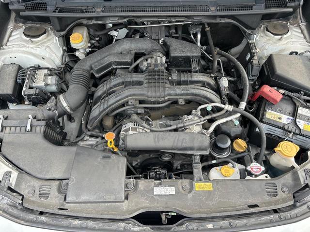 24421222_carP_l_16.jpg