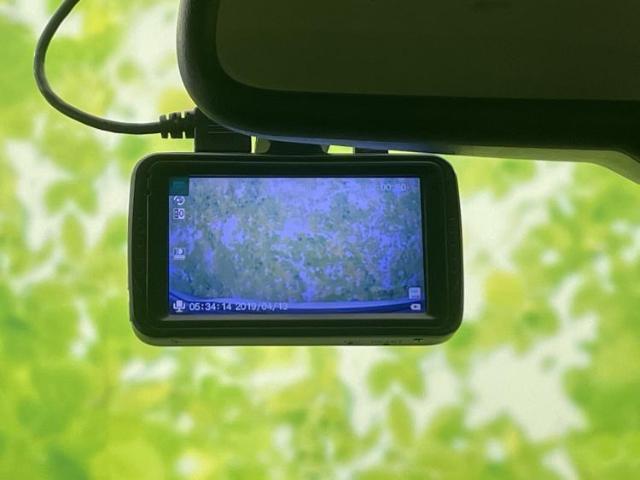 23870998_carP_l_7.jpg
