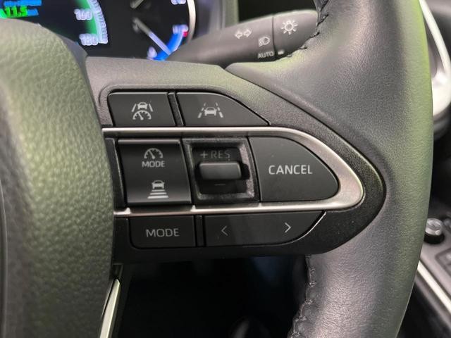 25734335_carP_l_13.jpg