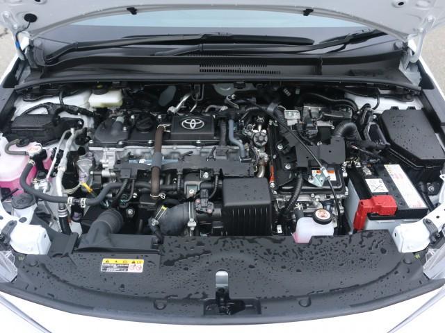 24897476_carP_l_17.jpg