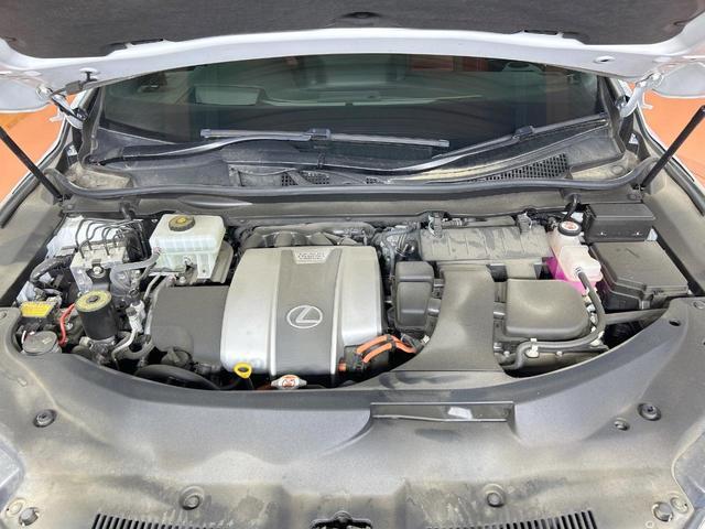 23302007_carP_l_12.jpg