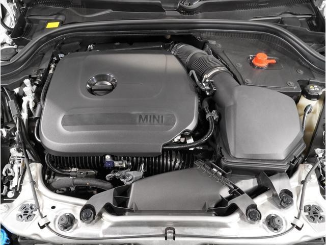 25693785_carP_l_17.jpg