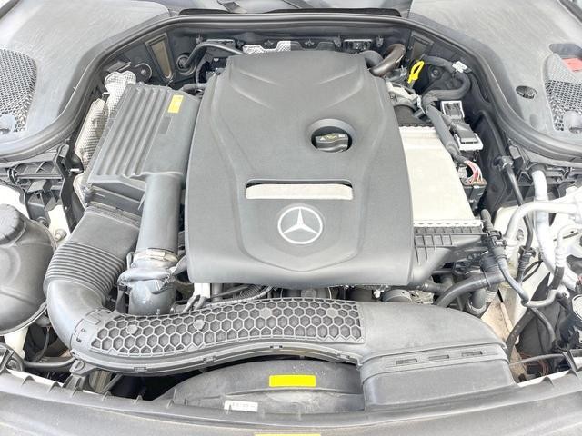 25404596_carP_l_18.jpg