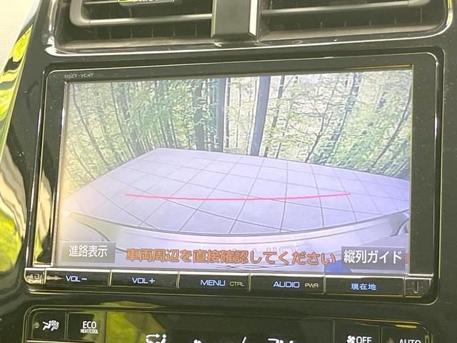 22242188_carP_l_4.jpg