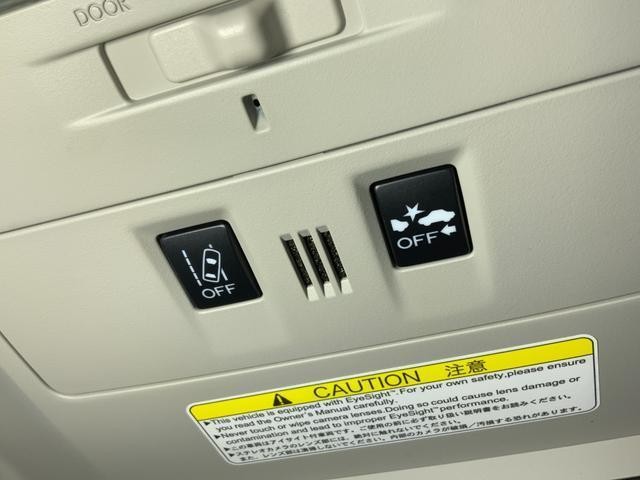 27028476_carP_l_16.jpg