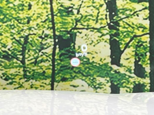 25904385_carP_l_14.jpg