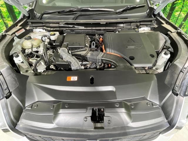 25904385_carP_l_18.jpg