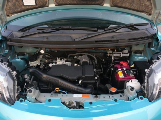 24265201_carP_l_17.jpg