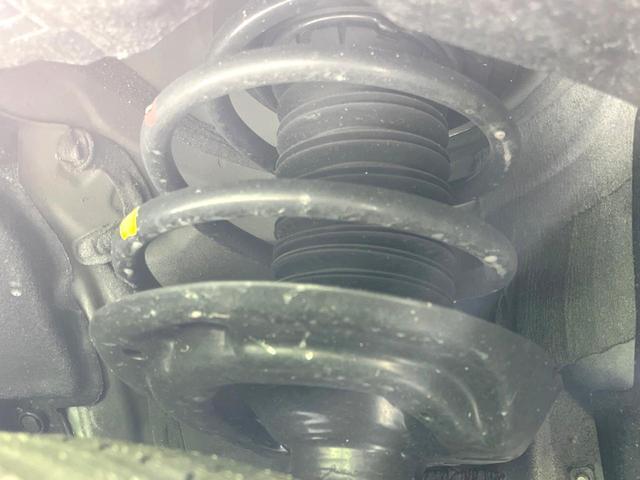 24747162_carP_l_20.jpg