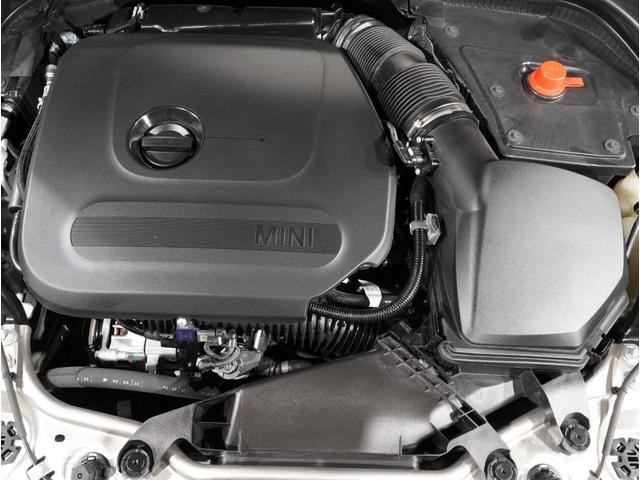 25693818_carP_l_14.jpg