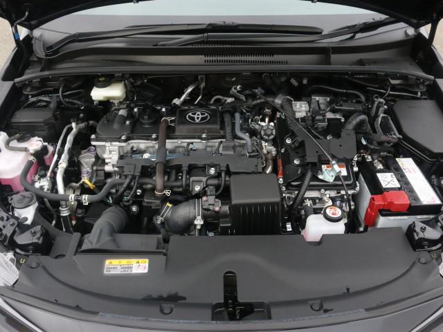 24897479_carP_l_17.jpg