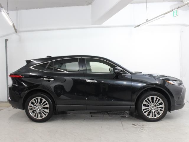 26844314_carP_l_7.jpg