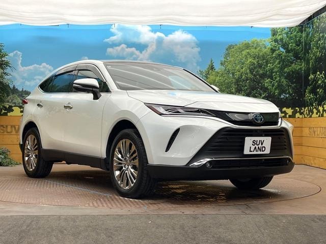 24360098_carP_l_11.jpg