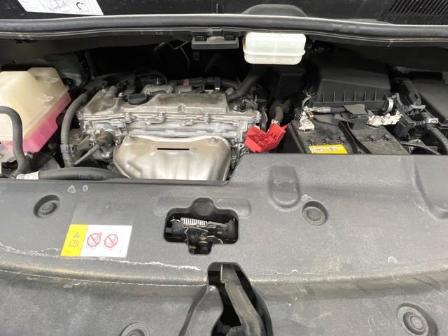 23734624_carP_l_18.jpg