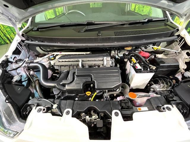 24994662_carP_l_16.jpg