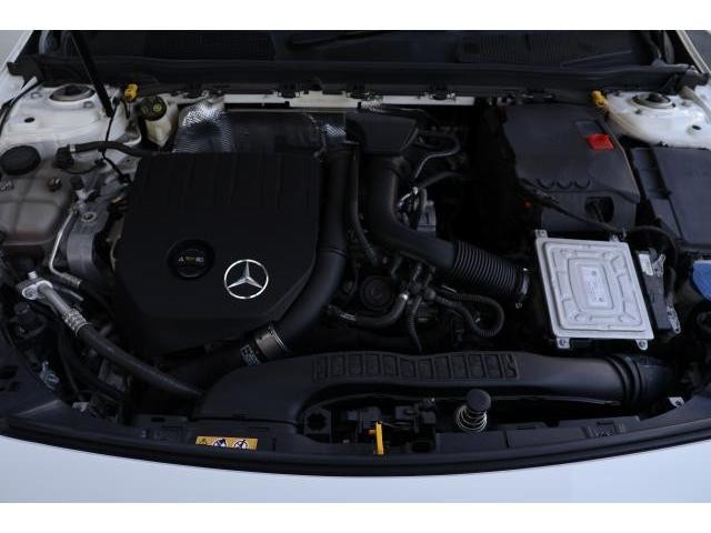 25948900_carP_l_17.jpg