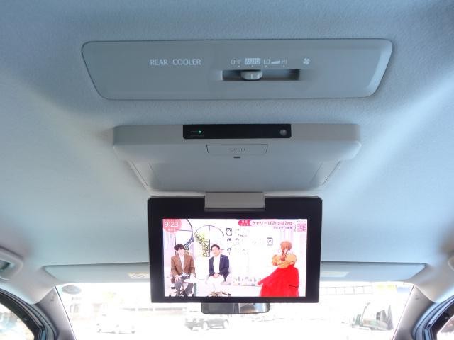 0550895A30261023W00312.jpg