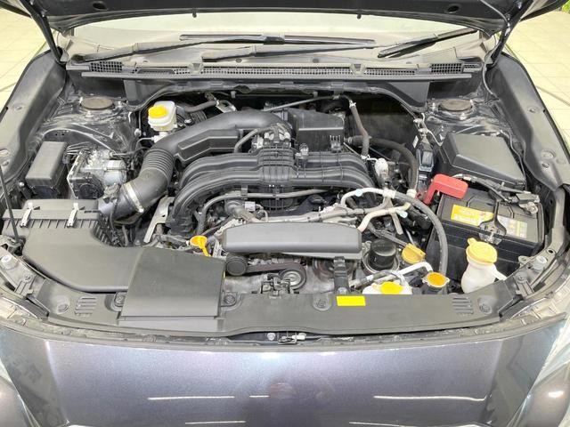 24581887_carP_l_12.jpg