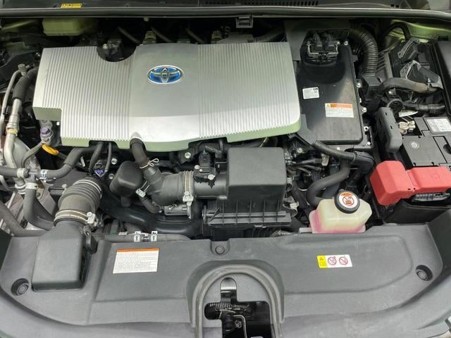 19506403_carP_l_16.jpg