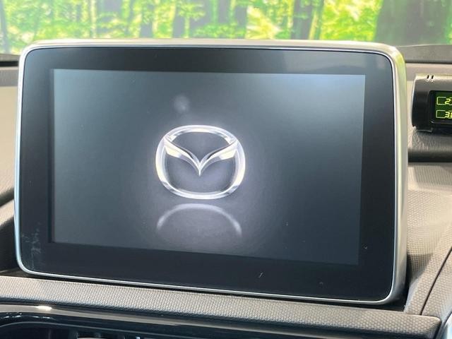 25096872_carP_l_10.jpg