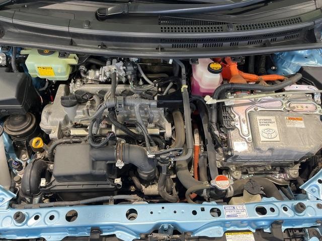 25138308_carP_l_16.jpg