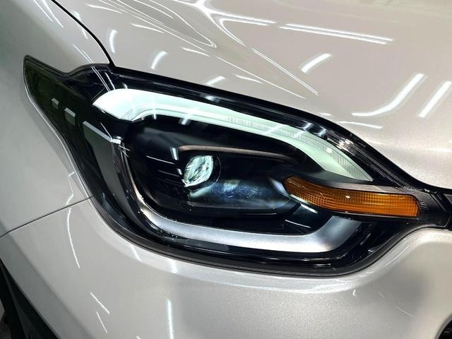 26189130_carP_l_7.jpg