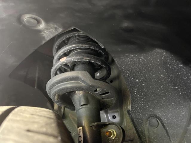 24029711_carP_l_20.jpg