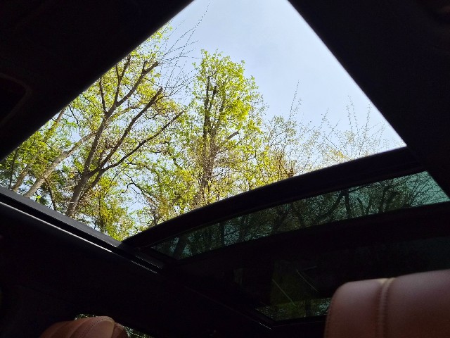 f040954896c3294139c9b38186011e0c.jpeg