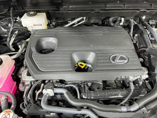 24747318_carP_l_16.jpg