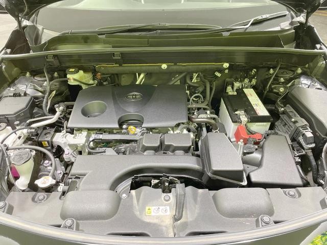 26085002_carP_l_18.jpg