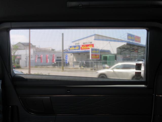 24134712_carP_l_6.jpg