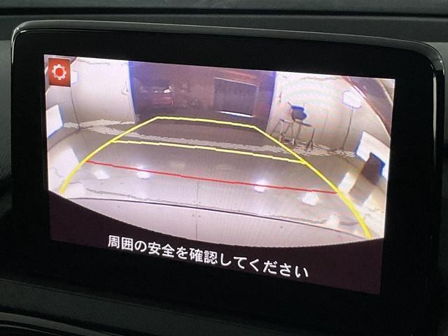 27092953_carP_l_12.jpg