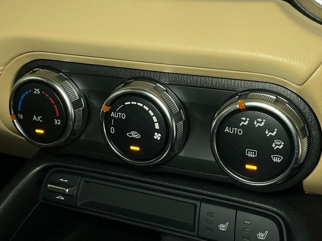 27092953_carP_l_20.jpg
