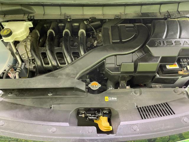 23635837_carP_l_16.jpg