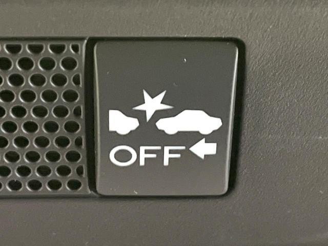 24994865_carP_l_15.jpg