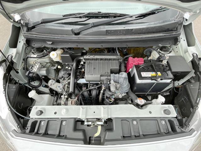 24747363_carP_l_12.jpg