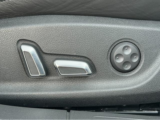 25591309_carP_l_6.jpg