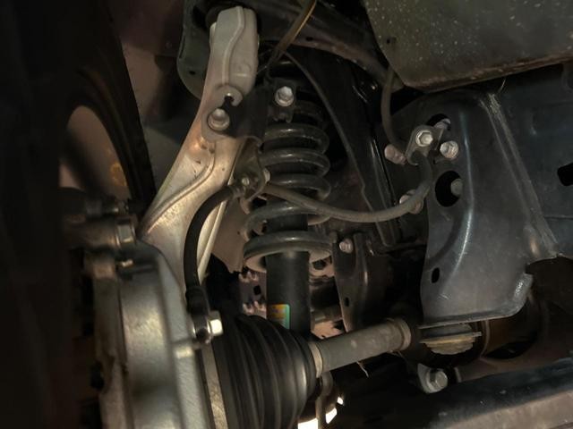 24932968_carP_l_20.jpg