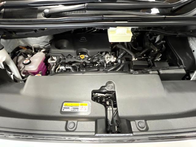 24154902_carP_l_18.jpg