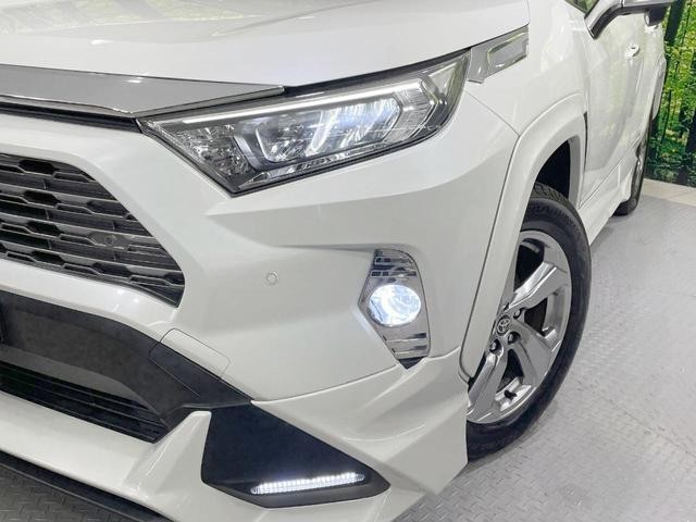 26085006_carP_l_8.jpg