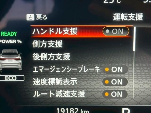 24670649_carP_l_11.jpg